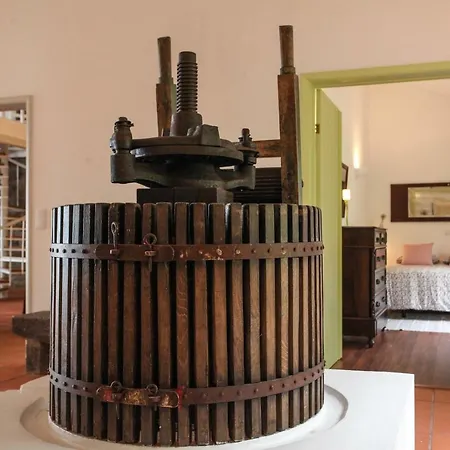 Adega Do Mota Vila Franca do Campo