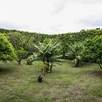 Adega Do Mota